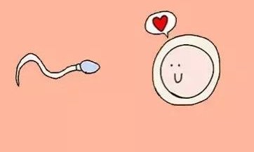 2026年想去彭州市做试管婴儿需要准备哪些事？详细收费明细一览