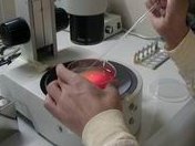 在长沙市妇幼保健院做试管婴儿要多少钱？成功率怎么样？附试管怀孕机构名单一览