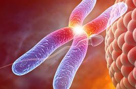 福建省试管婴儿医院的排名是怎样的？如何选择试管婴儿医院？